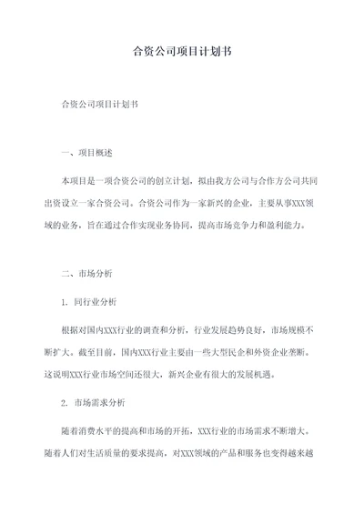 合资公司项目计划书