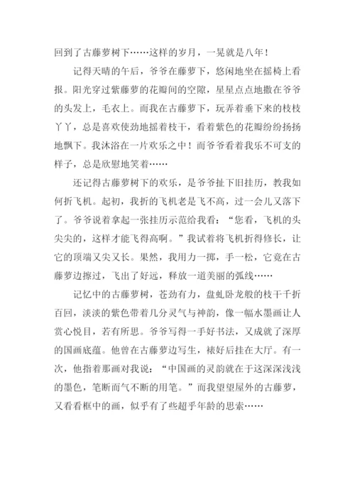 描写紫藤萝的作文.docx
