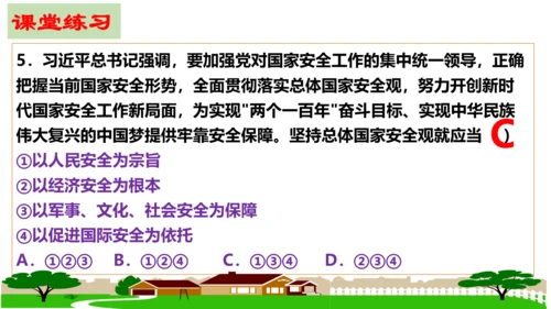 第九课  树立总体国家安全观复习课件（23张PPT）