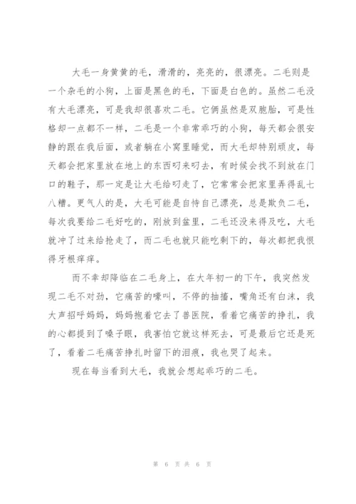 有关我家小狗作文300字合集六篇.docx