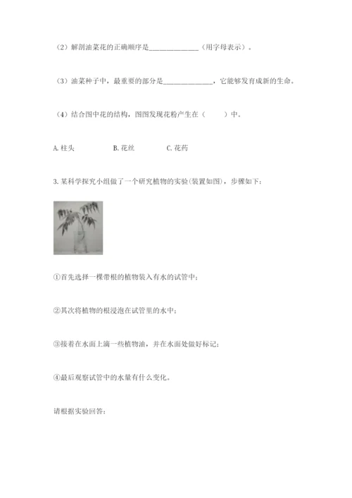 教科版四年级下册科学第一单元《植物的生长变化》测试卷【研优卷】.docx