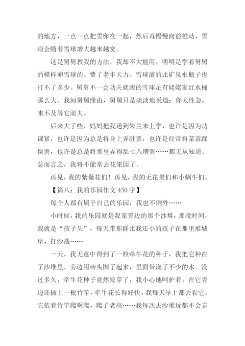 我的乐园作文450字.docx