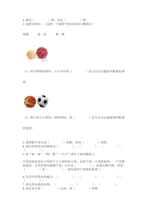 教科版一年级下册科学期末测试卷带解析答案.docx