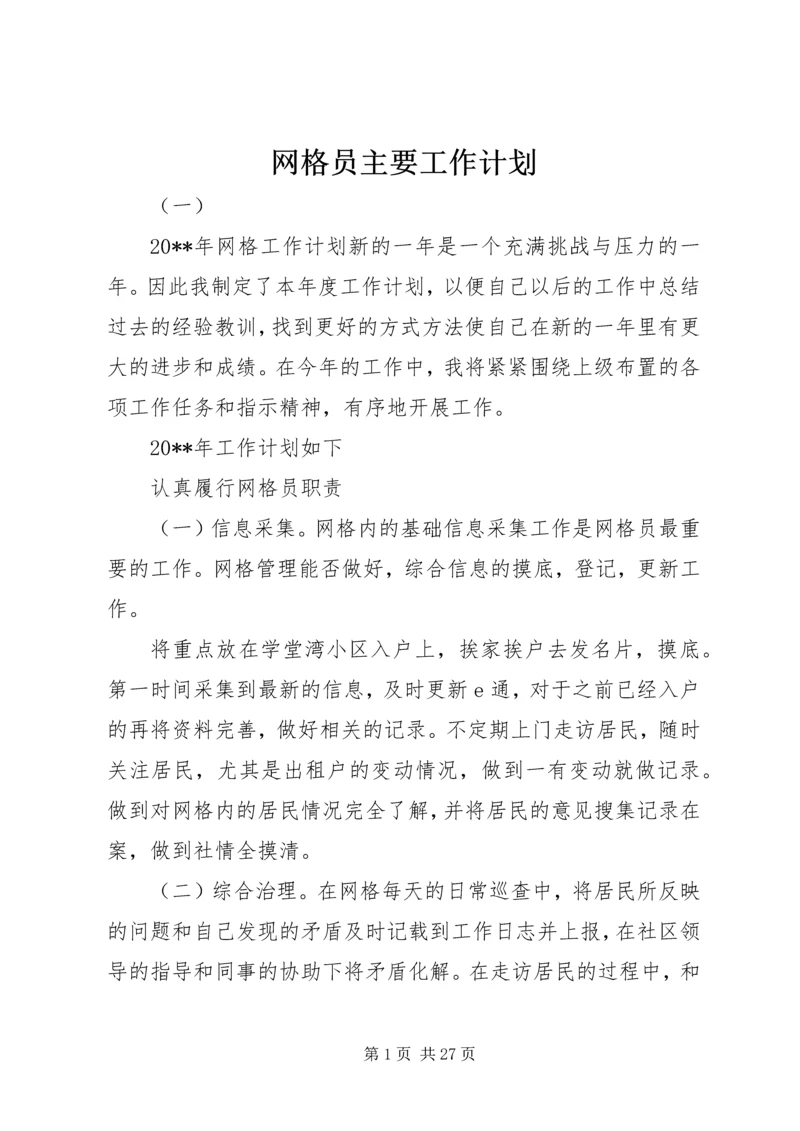 网格员主要工作计划.docx