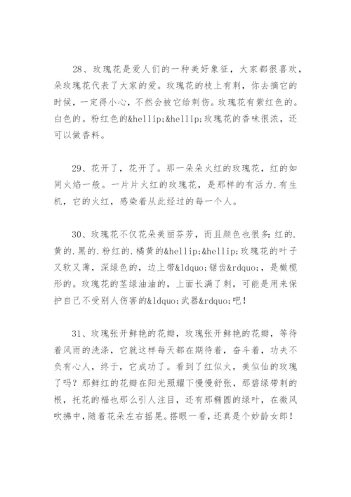 描写玫瑰花的唯美 描写玫瑰花的优美句子或段落.docx