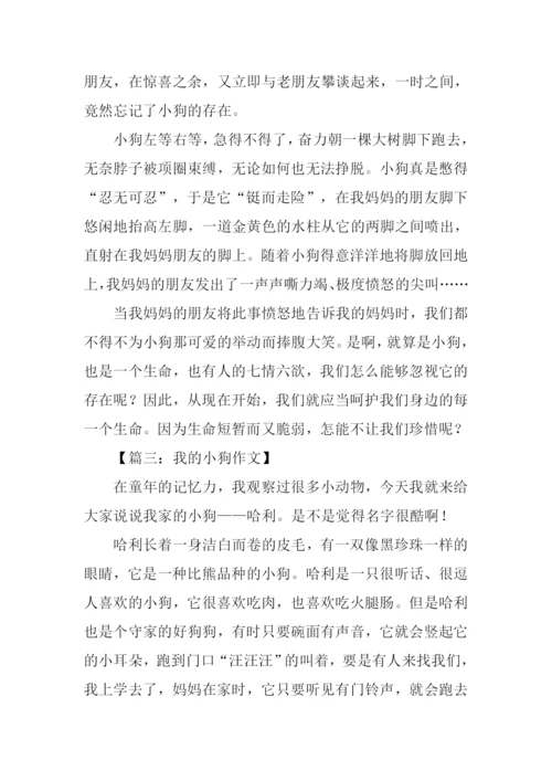 我的小狗作文600字.docx