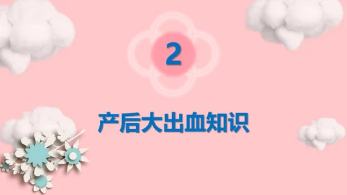 妇产科产后大出血护理查房PPT课件