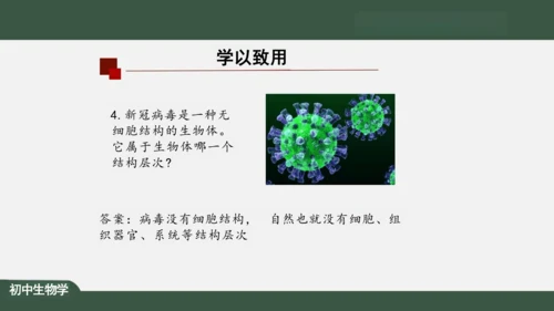 2.2.2 动物体的结构层次 课件（共24张PPT）
