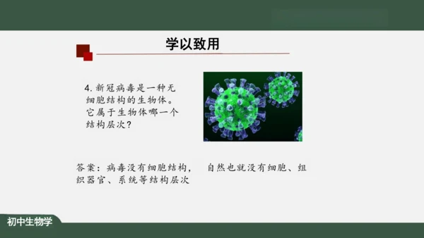 2.2.2 动物体的结构层次 课件（共24张PPT）