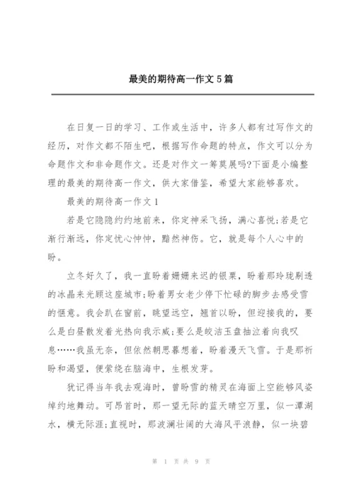 最美的期待高一作文5篇.docx