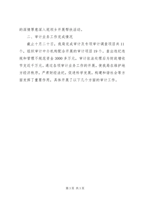 市审计局总结及年度工作规划书范文.docx