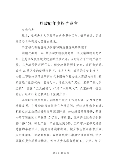 县政府年度报告发言.docx