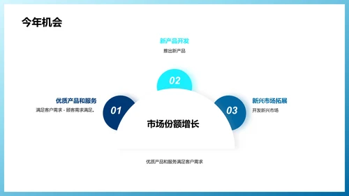 公司年度工作计划