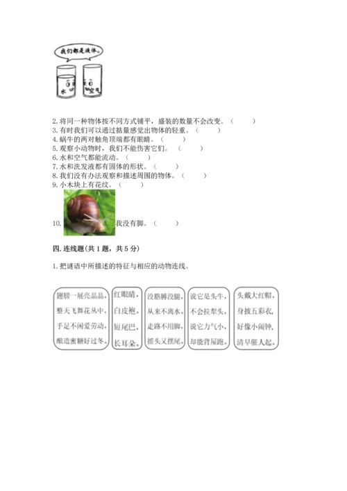 教科版一年级下册科学期末测试卷必考题.docx