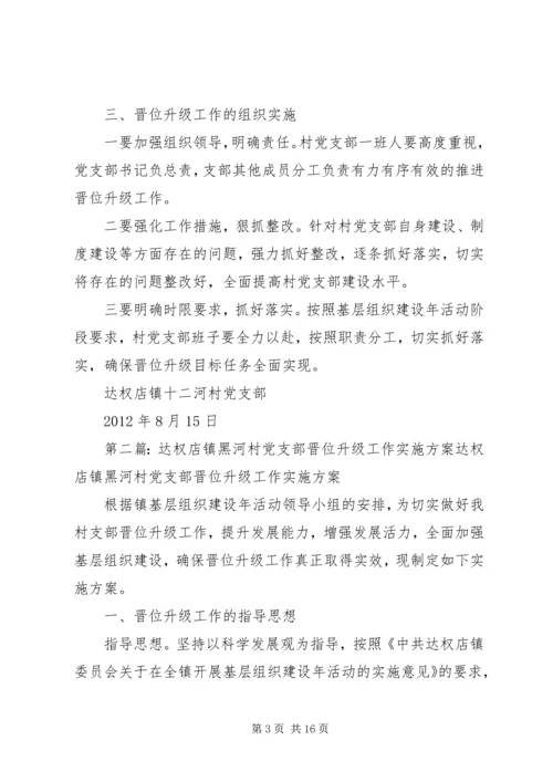达权店镇十二河村党支部晋位升级方案.docx
