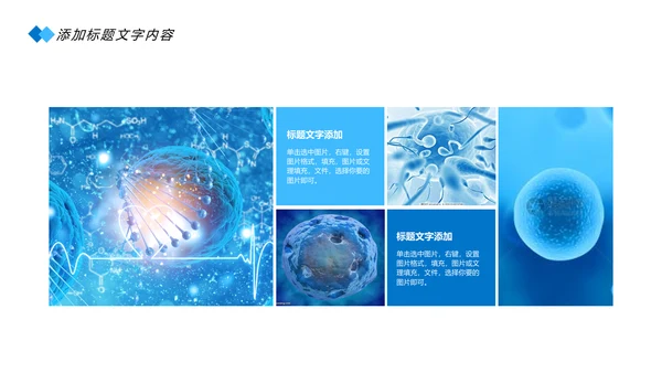 蓝色医疗细胞基因研究医学研究PPT模板