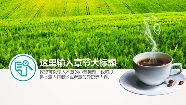 食品药监局食品卫生安全PPT模板