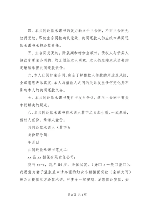 共同还款人承诺书 (2).docx