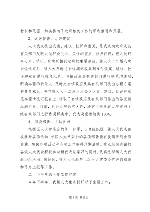 人大某年下半年工作计划.docx