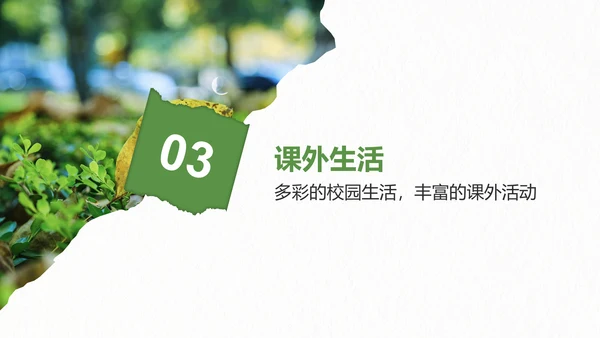 绿色剪纸风我的大学生活与成长故事PPT模板