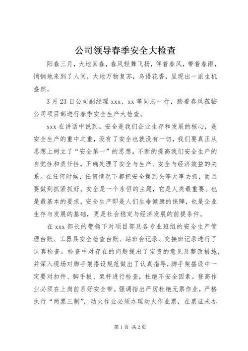 公司领导春季安全大检查.docx