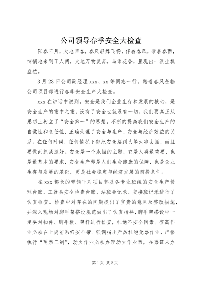 公司领导春季安全大检查.docx