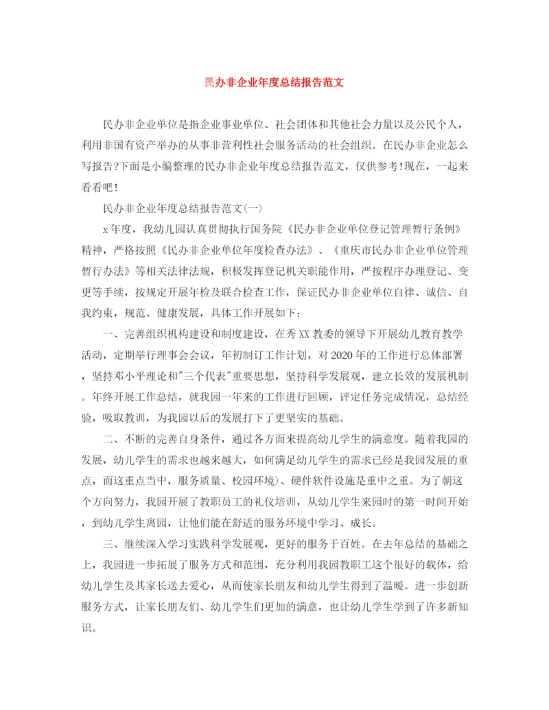 精编之民办非企业年度总结报告范文.docx