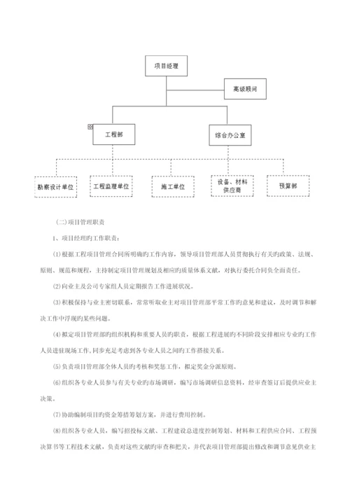 专项项目管理实施专题方案.docx