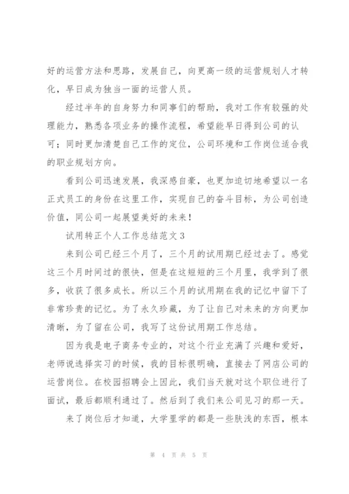 试用转正个人工作总结范文.docx