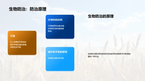 农业种植：智慧之选