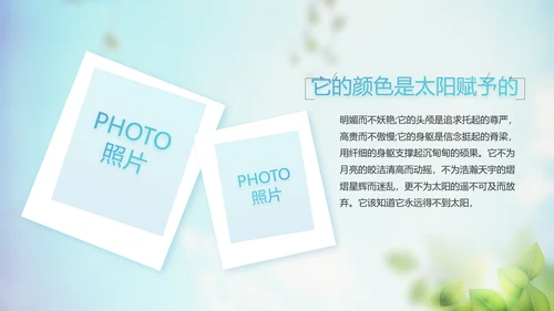 蓝天白云蒲公英致青春毕业季大学毕业纪念册电子相册动态PPT模板