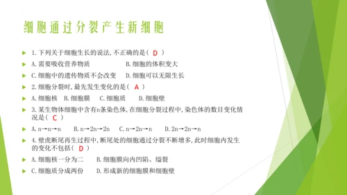 人教版生物七年级上册期中复习课件(共19张PPT)