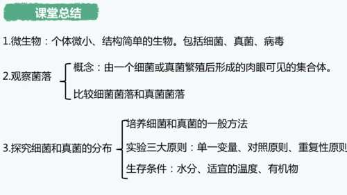 人教版生物七年级上册2.3.1《微生物的分布》课件(共22张PPT)+视频素材