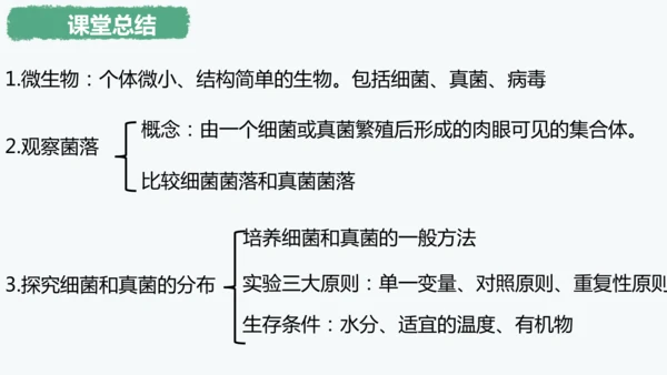 人教版生物七年级上册2.3.1《微生物的分布》课件(共22张PPT)+视频素材