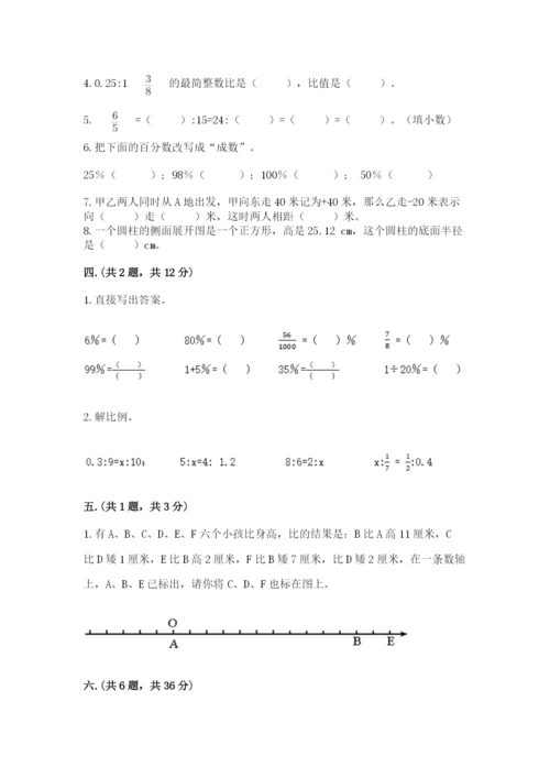 河南省平顶山市六年级下册数学期末考试试卷含答案（满分必刷）.docx