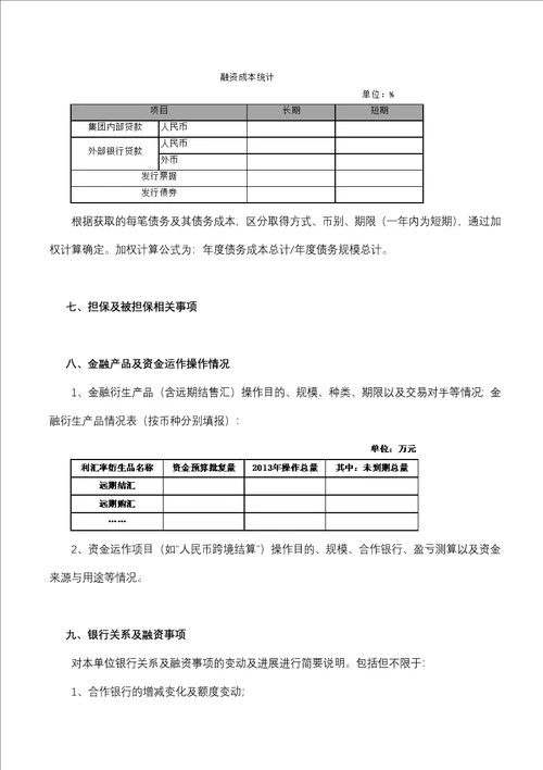 2013年资金分析报告模板
