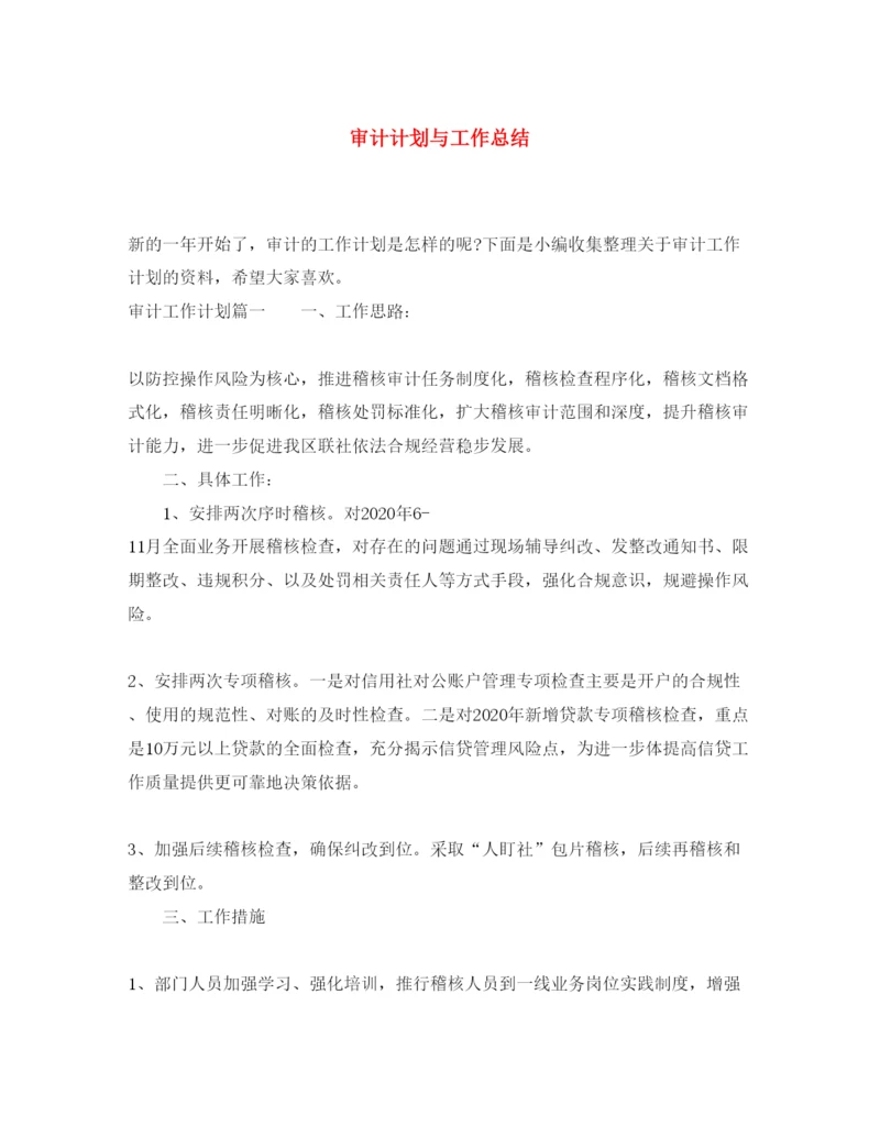 2022审计计划与工作总结.docx