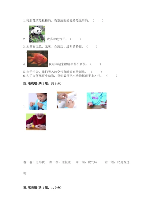教科版一年级下册科学期末测试卷及参考答案（典型题）.docx