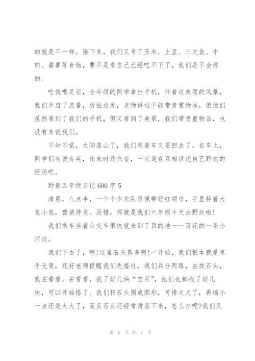 野餐五年级日记600字5篇.docx