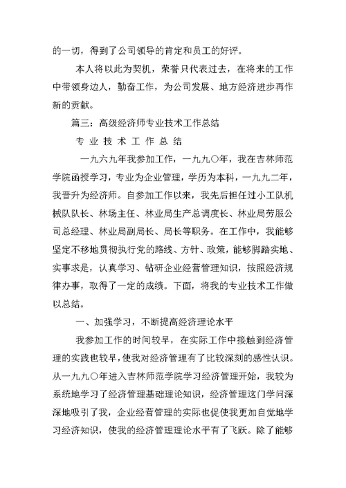 高级经济师专业技术工作总结