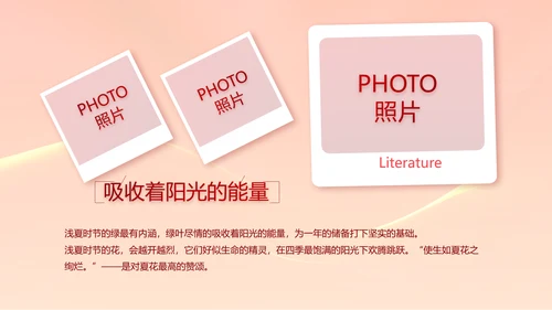 红色签约仪式启动大会战略合作策划PPT模板