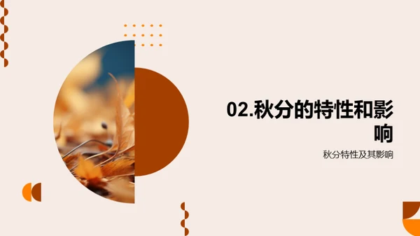 秋分的自然奥秘
