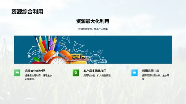 稻田科学种植