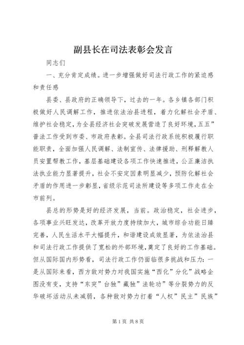 副县长在司法表彰会发言.docx