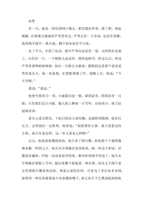 高考语文一轮复习精品之散文化小说阅读试题精选.docx