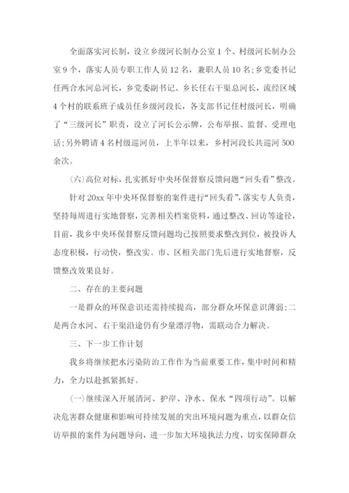 水污染防治工作总结.docx