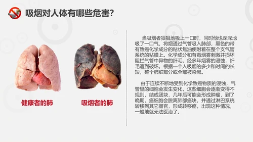 珍爱生命远离香烟世界无烟日通用PPT