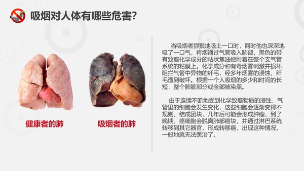珍爱生命远离香烟世界无烟日通用PPT