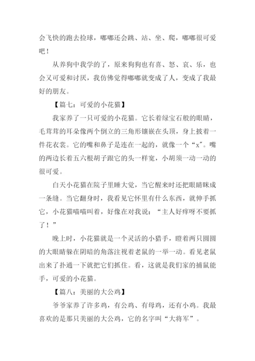 描写动物的作文-1.docx