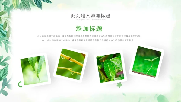 植物生长绿芽小树苗生长发芽成长ppt模板
